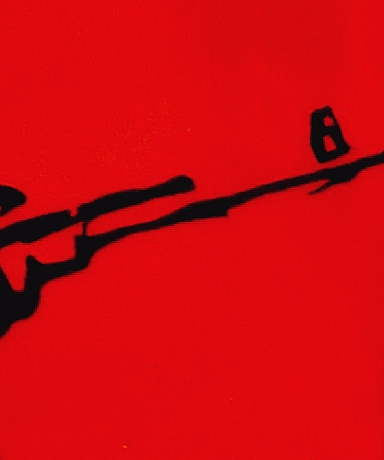 Plastic Water Bottle Soldier's VI