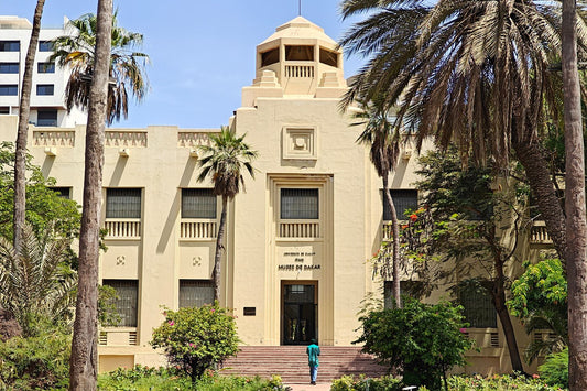 Rethinking a Colonial Legacy: Dr El Hadji Malick Ndiaye’s Mission to Decolonise Dakar’s Museum