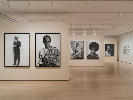 Africa Was Never Just a Place — MoMA's Ideas of Africa
