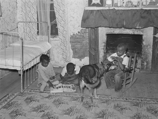 Black Spaces of the Great Depression South at MoA+L